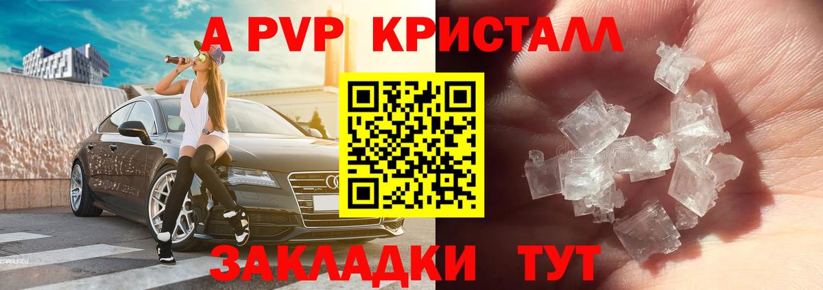 Alfa_PVP СК КРИС Кириши