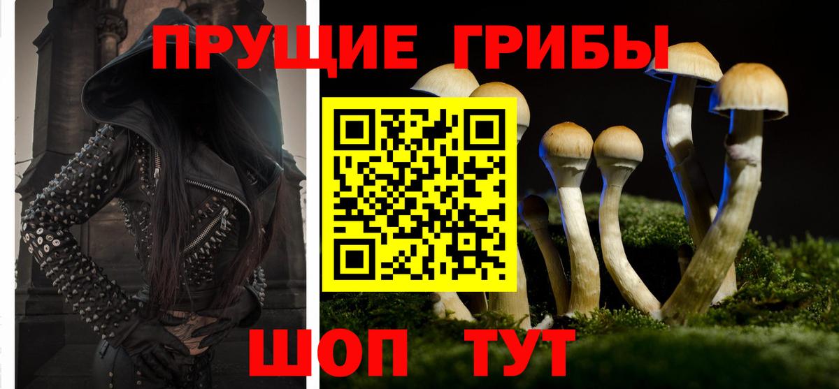Галлюциногенные грибы MAGIC MUSHROOMS  Вход с VPN  Кириши 